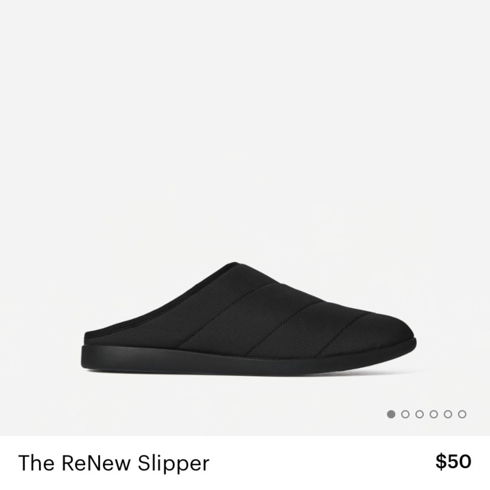 Everlane slippers